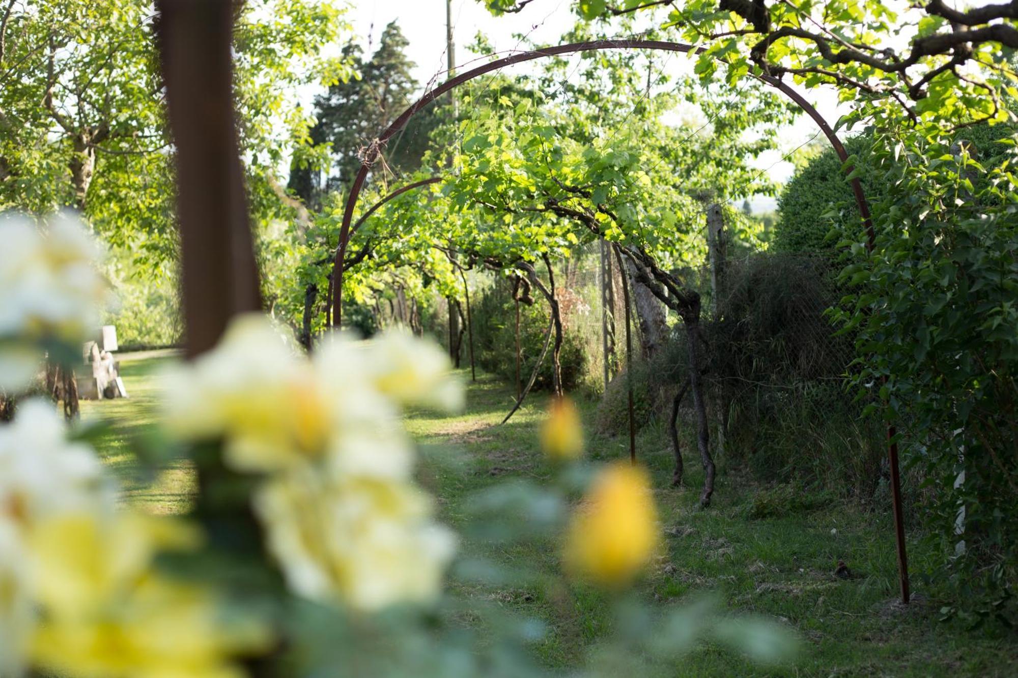 Villa Campo Di Fiore Арецо Екстериор снимка