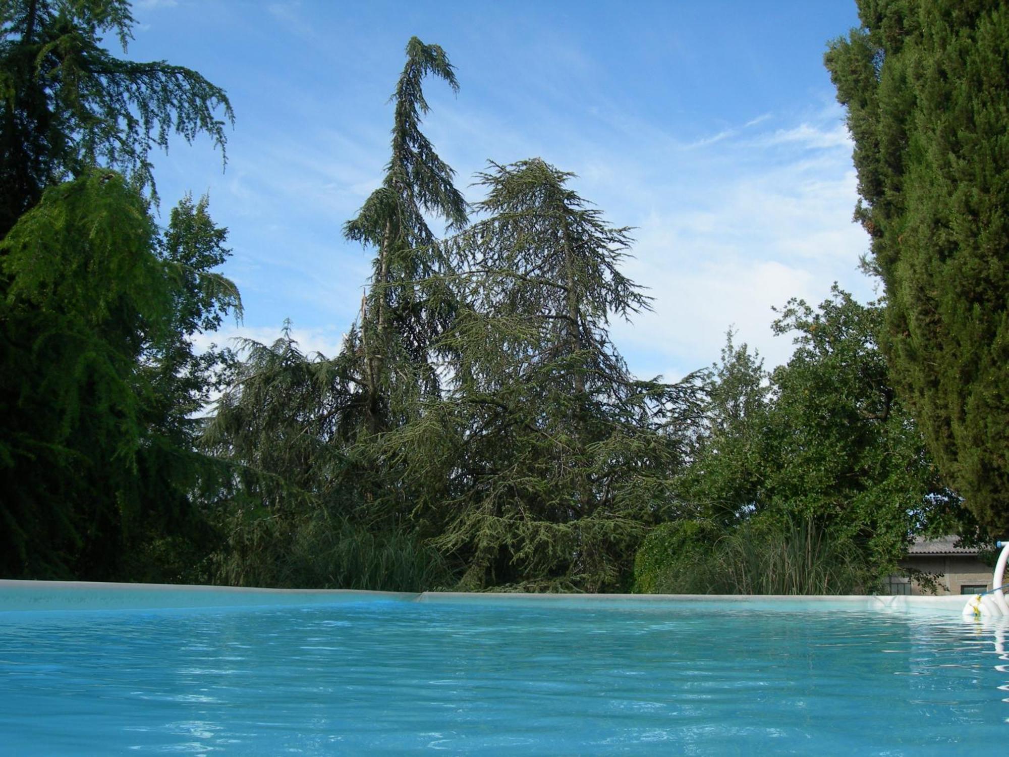 Villa Campo Di Fiore Арецо Екстериор снимка